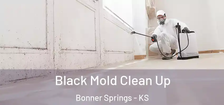  Black Mold Clean Up Bonner Springs - KS