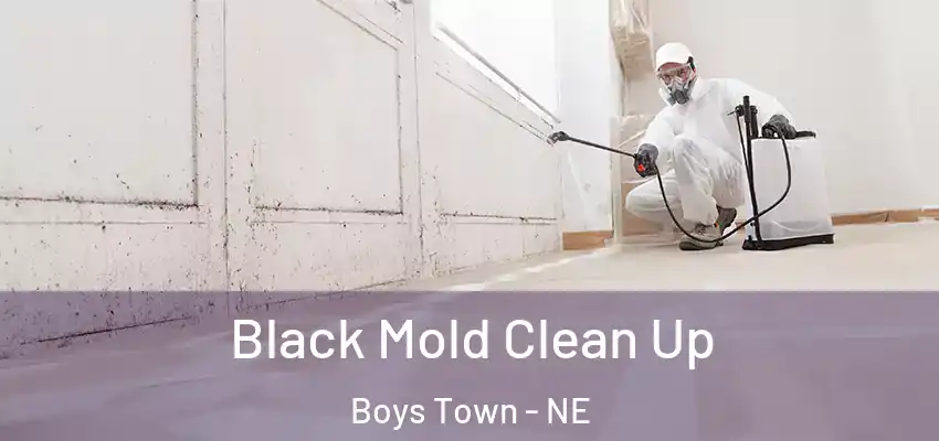  Black Mold Clean Up Boys Town - NE