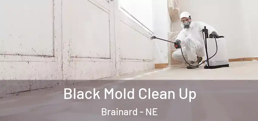  Black Mold Clean Up Brainard - NE