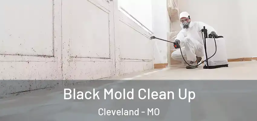  Black Mold Clean Up Cleveland - MO