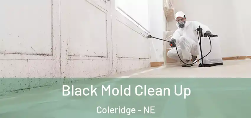  Black Mold Clean Up Coleridge - NE