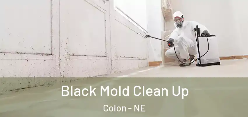  Black Mold Clean Up Colon - NE