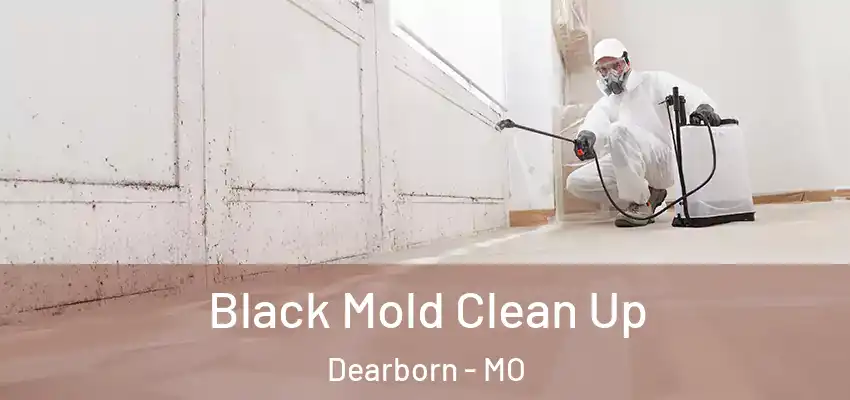  Black Mold Clean Up Dearborn - MO