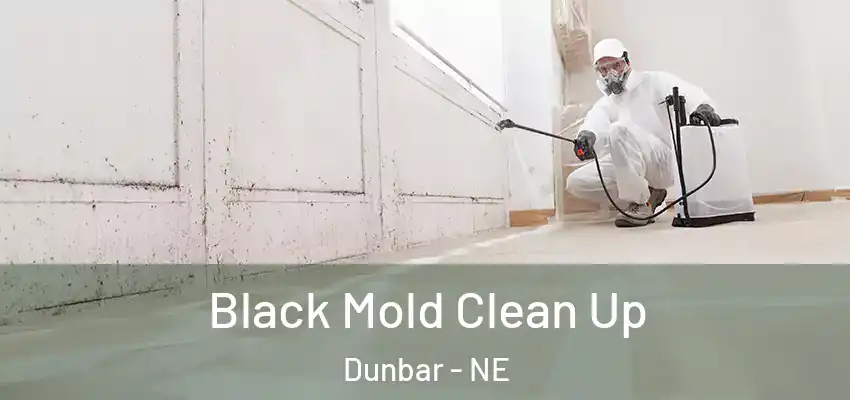  Black Mold Clean Up Dunbar - NE
