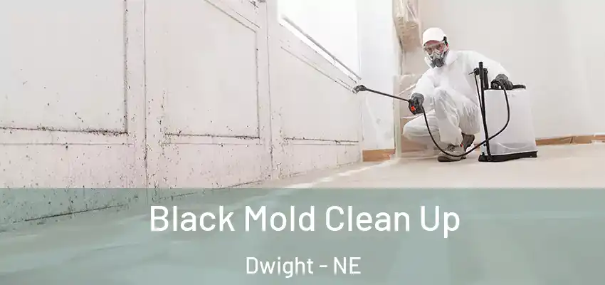 Black Mold Clean Up Dwight - NE