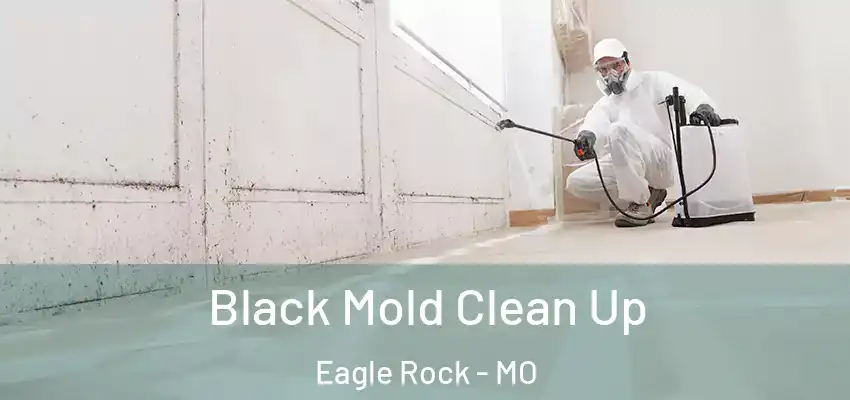  Black Mold Clean Up Eagle Rock - MO