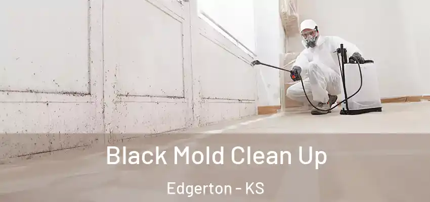  Black Mold Clean Up Edgerton - KS