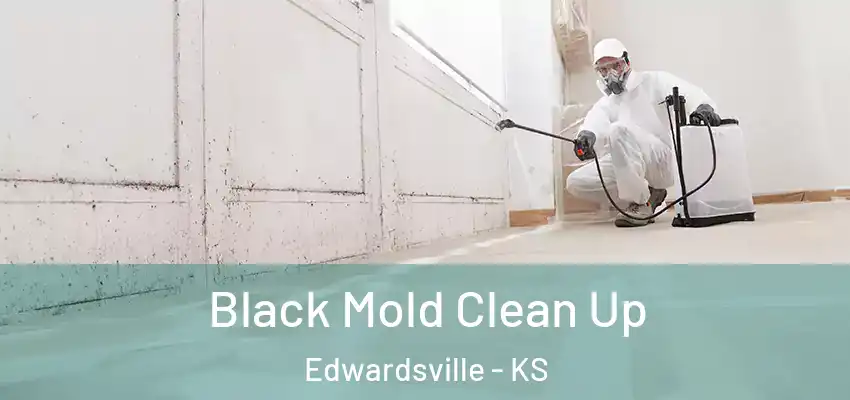  Black Mold Clean Up Edwardsville - KS