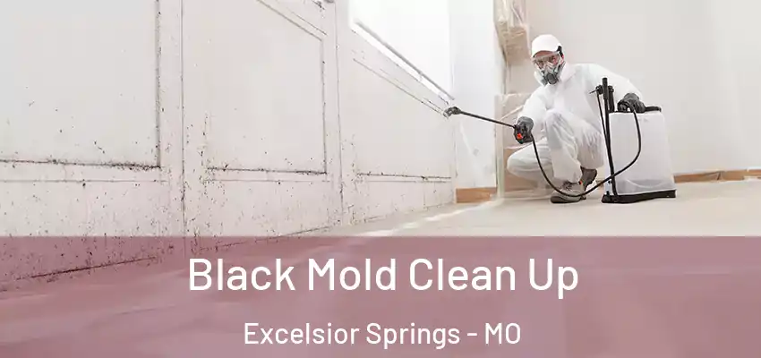  Black Mold Clean Up Excelsior Springs - MO
