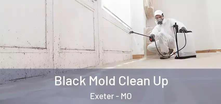 Black Mold Clean Up Exeter - MO