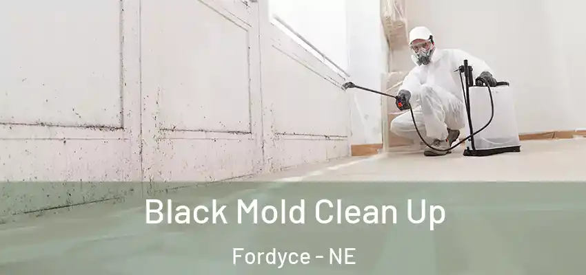  Black Mold Clean Up Fordyce - NE