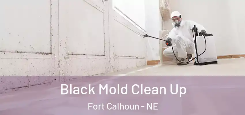  Black Mold Clean Up Fort Calhoun - NE
