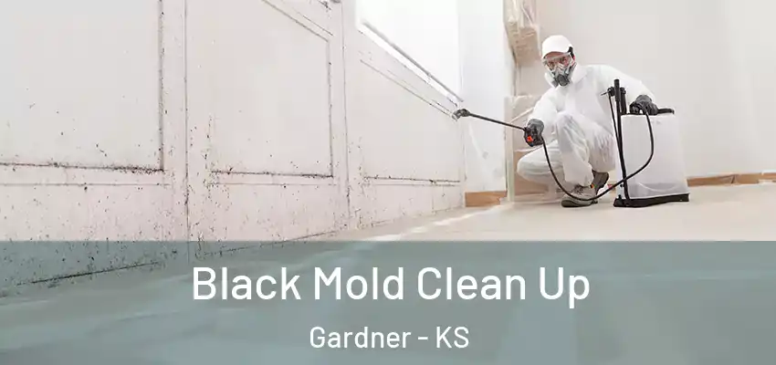  Black Mold Clean Up Gardner - KS