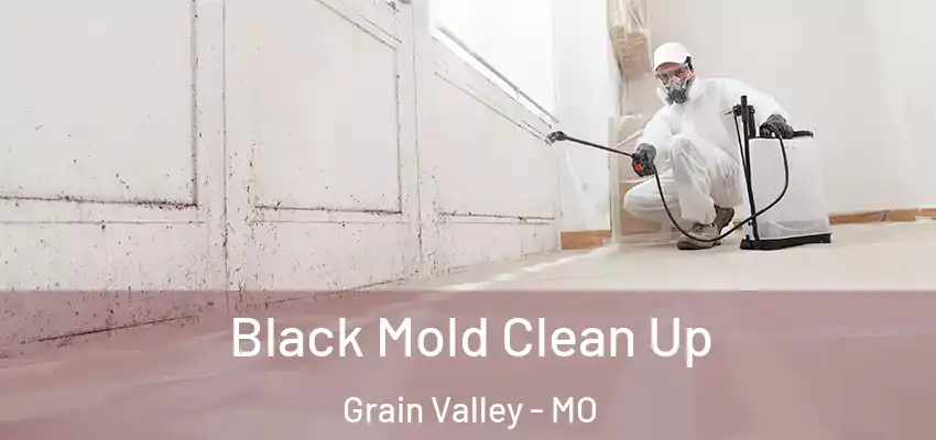  Black Mold Clean Up Grain Valley - MO