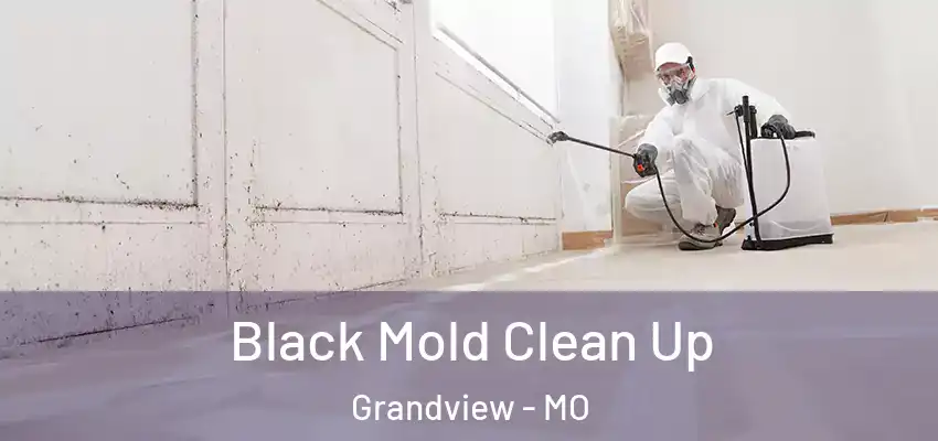  Black Mold Clean Up Grandview - MO