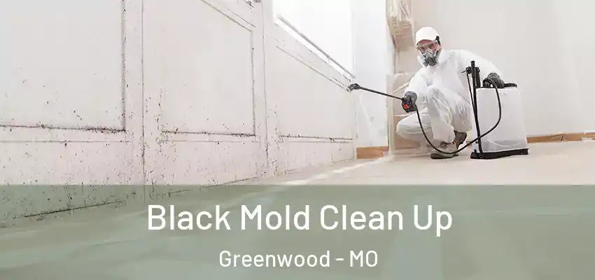 Black Mold Clean Up Greenwood - MO