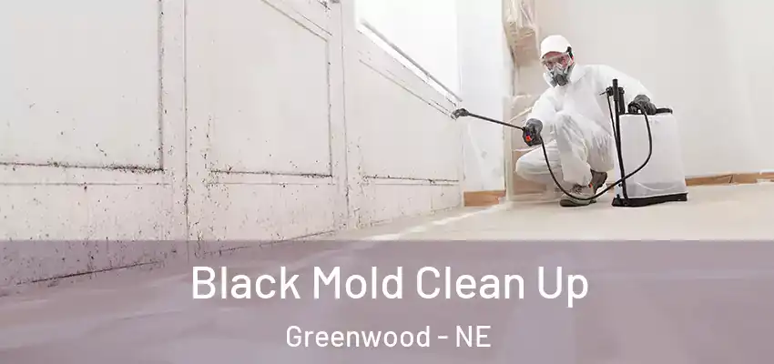 Black Mold Clean Up Greenwood - NE