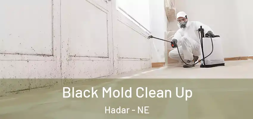  Black Mold Clean Up Hadar - NE