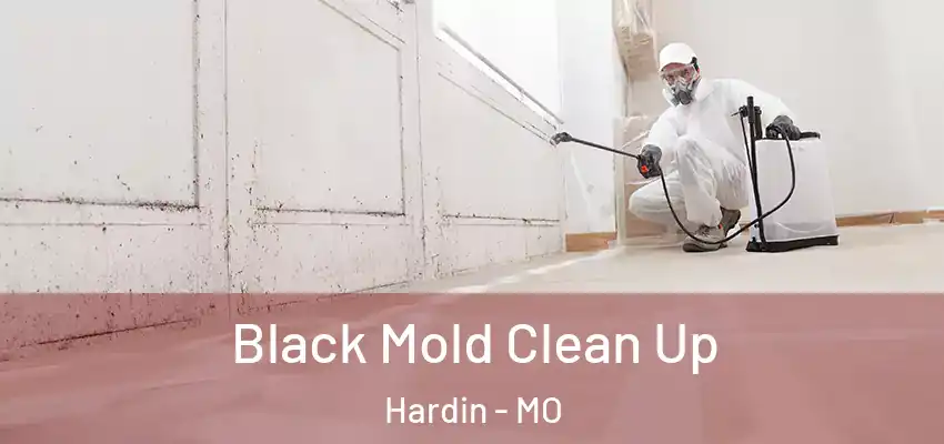  Black Mold Clean Up Hardin - MO