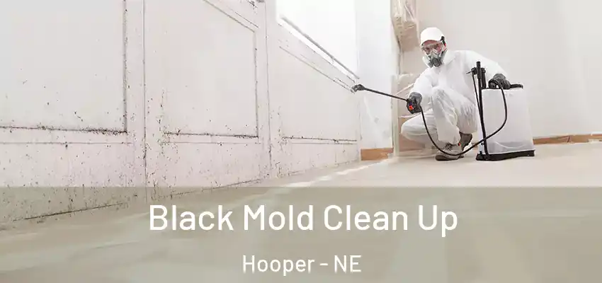  Black Mold Clean Up Hooper - NE