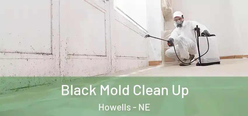  Black Mold Clean Up Howells - NE