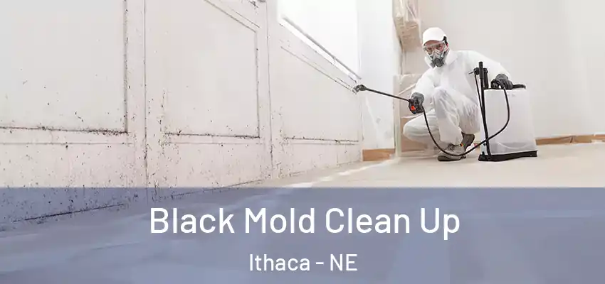 Black Mold Clean Up Ithaca - NE