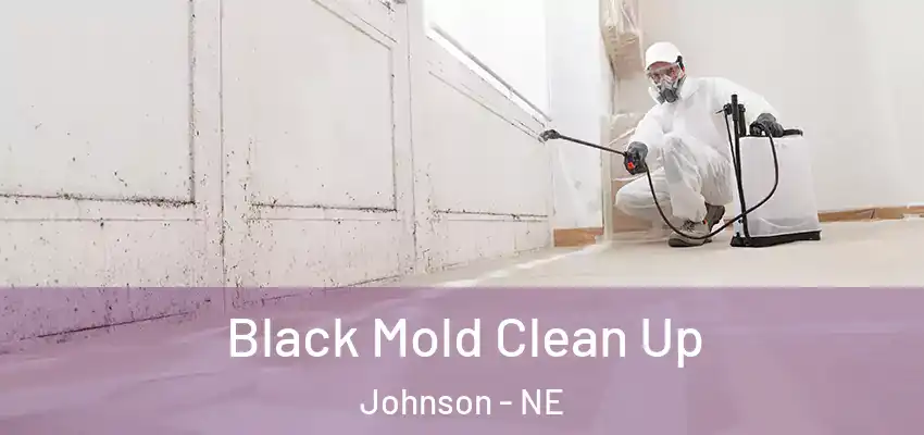  Black Mold Clean Up Johnson - NE