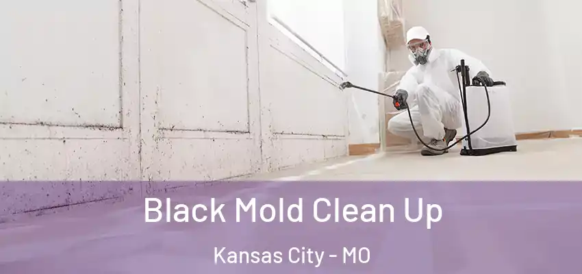  Black Mold Clean Up Kansas City - MO