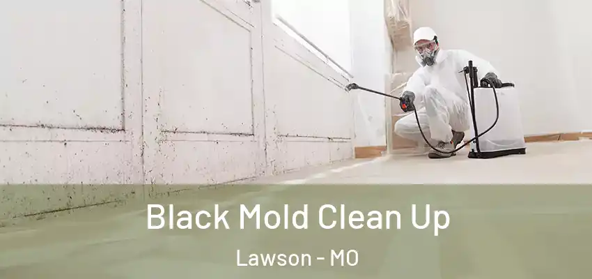  Black Mold Clean Up Lawson - MO