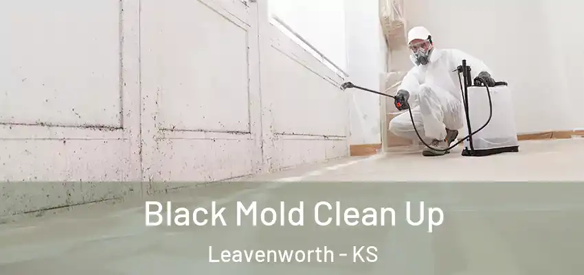  Black Mold Clean Up Leavenworth - KS
