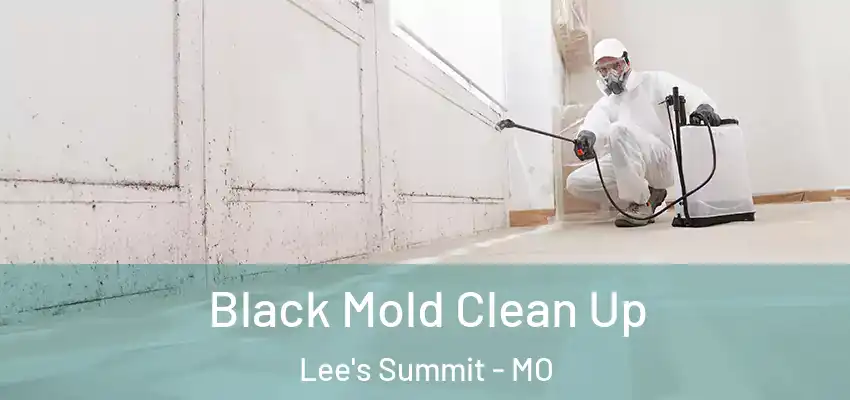  Black Mold Clean Up Lee's Summit - MO