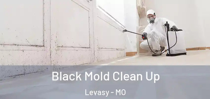  Black Mold Clean Up Levasy - MO