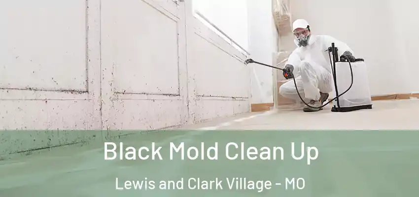  Black Mold Clean Up Lewis and Clark Village - MO