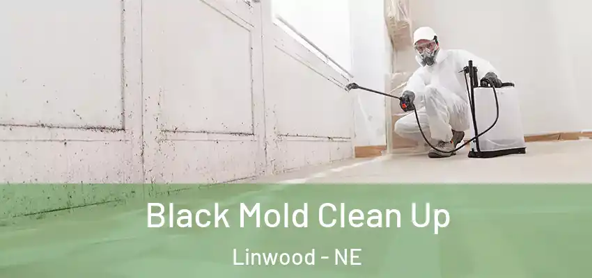 Black Mold Clean Up Linwood - NE