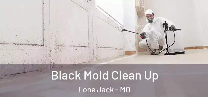  Black Mold Clean Up Lone Jack - MO