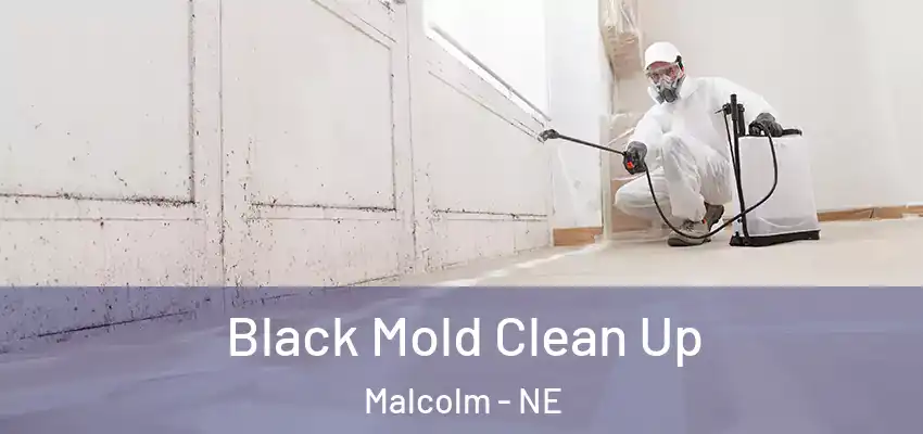 Black Mold Clean Up Malcolm - NE