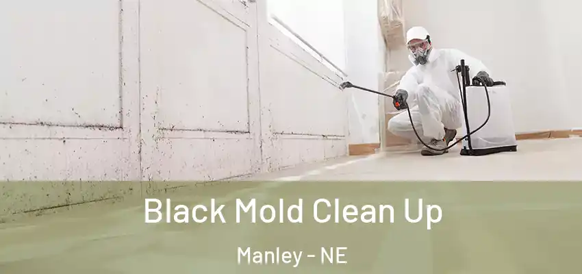  Black Mold Clean Up Manley - NE