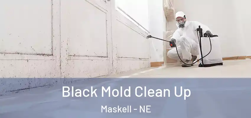  Black Mold Clean Up Maskell - NE