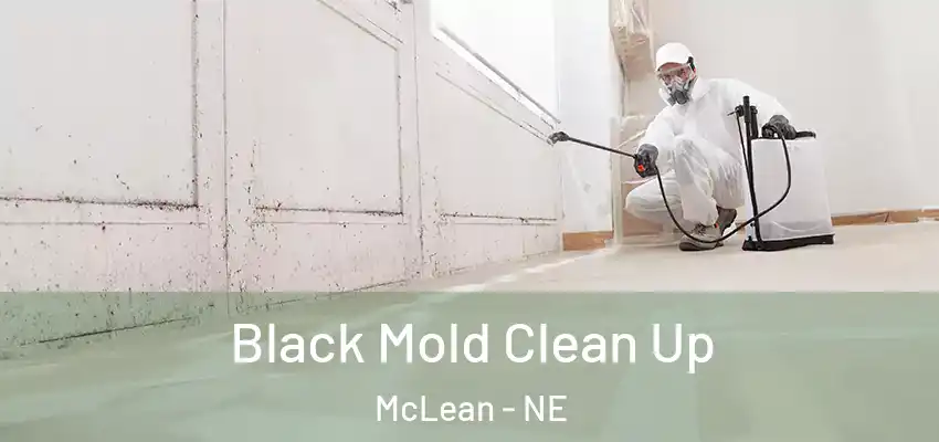  Black Mold Clean Up McLean - NE