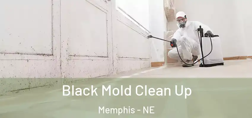  Black Mold Clean Up Memphis - NE