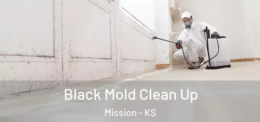  Black Mold Clean Up Mission - KS