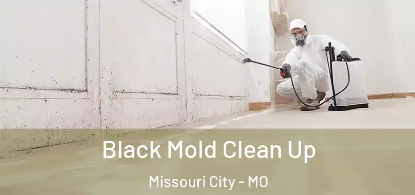  Black Mold Clean Up Missouri City - MO