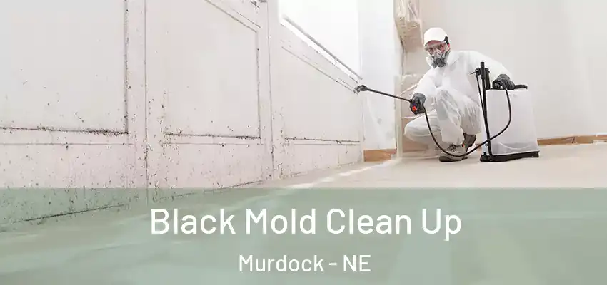 Black Mold Clean Up Murdock - NE