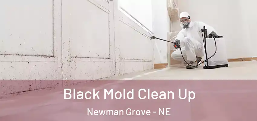  Black Mold Clean Up Newman Grove - NE