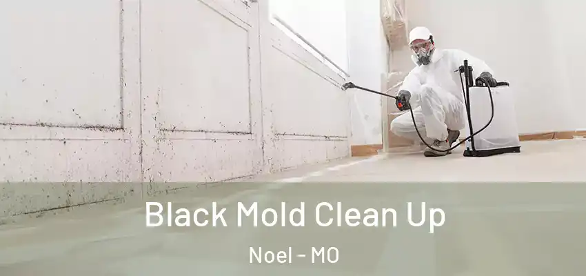  Black Mold Clean Up Noel - MO
