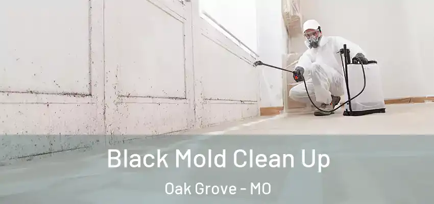  Black Mold Clean Up Oak Grove - MO