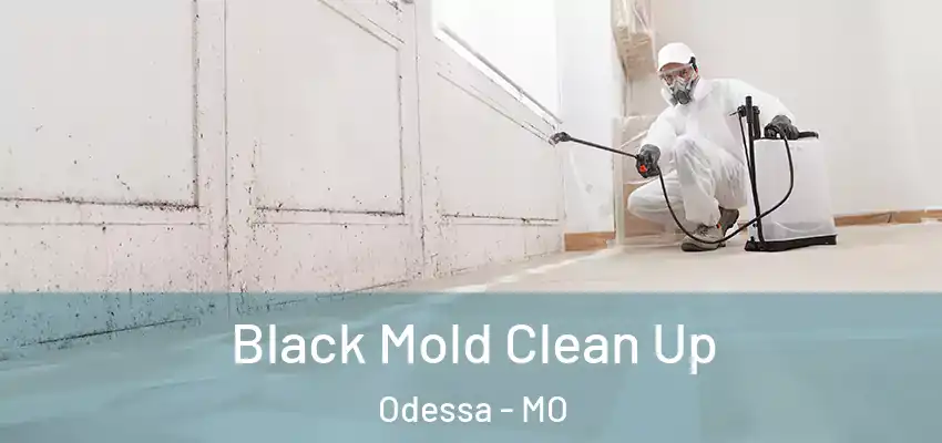  Black Mold Clean Up Odessa - MO