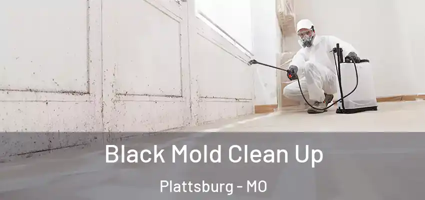  Black Mold Clean Up Plattsburg - MO