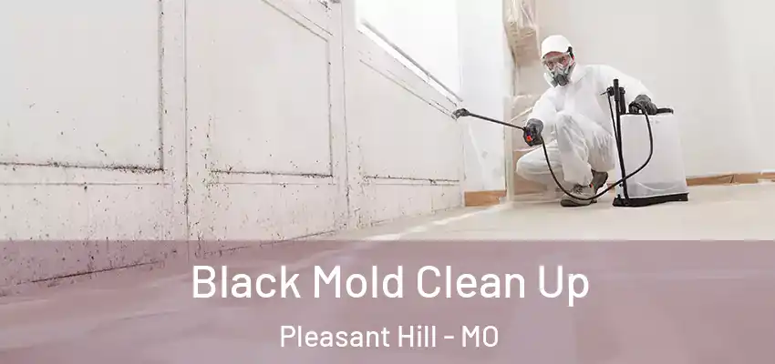 Black Mold Clean Up Pleasant Hill - MO