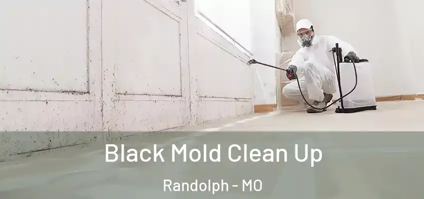 Black Mold Clean Up Randolph - MO